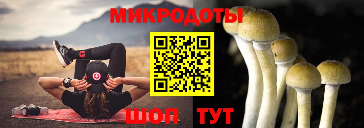 Псилоцибиновые грибы Magic Shrooms  Вход с VPN  Вичуга 