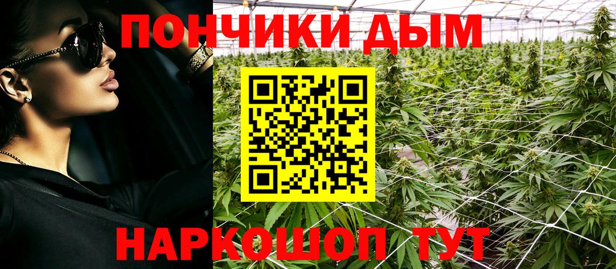 Конопля OG Kush Вичуга
